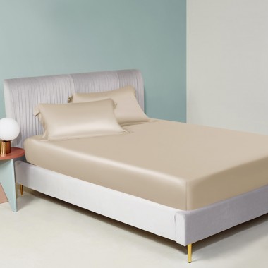Online Beige 22 Momme Mulberry Silk Fitted Sheet UK