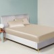Online Beige 22 Momme Mulberry Silk Sheet Set UK